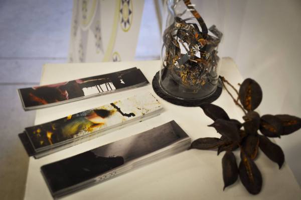 11043343_736338033150683_4127918682254453089_o