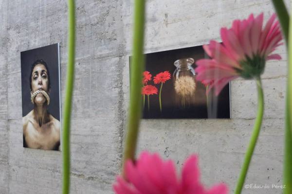 11068300_10200498440421028_3829506637722749337_n